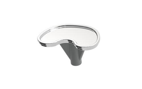 Knee Replacement Components