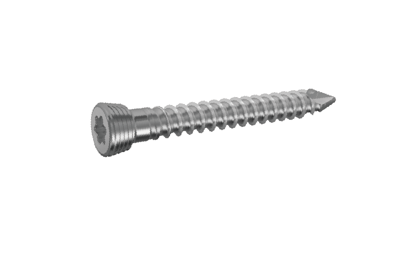 Plate Screw